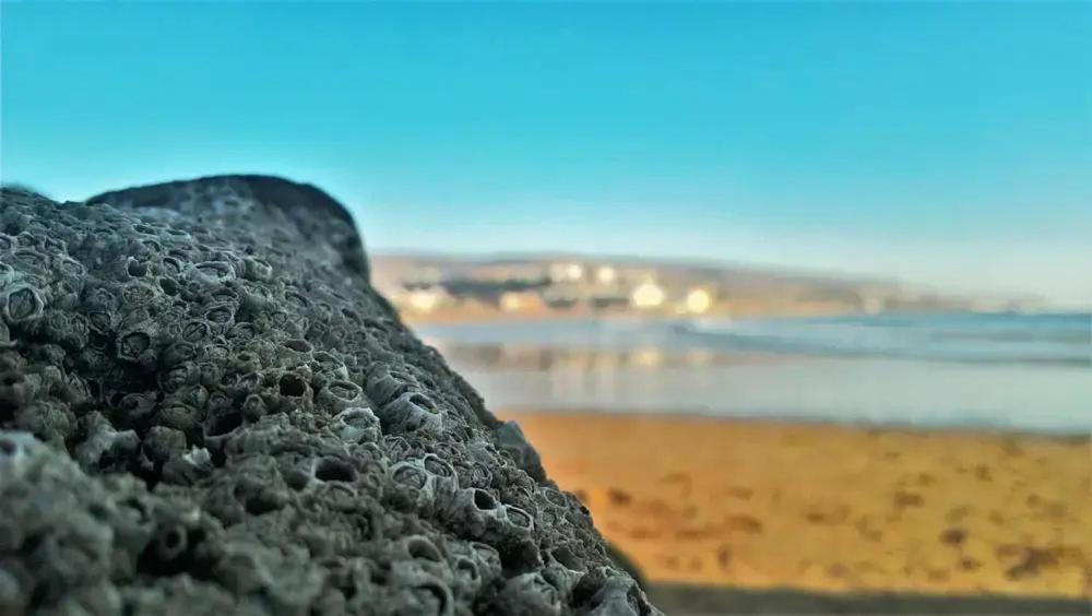 Baya House Sea View Apartment Агадир Екстериор снимка